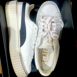 Puma creeper